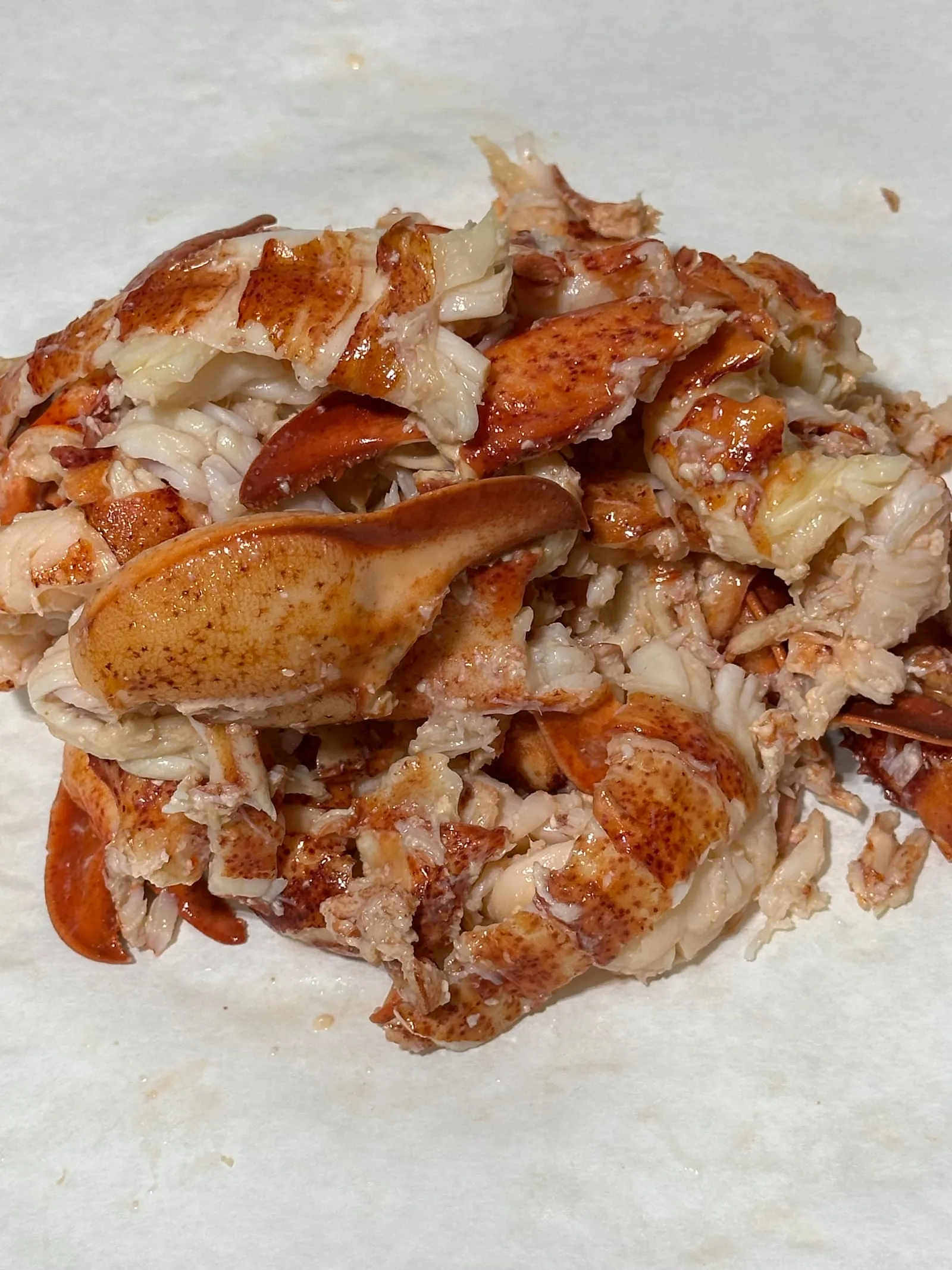 Freshly picked Maine lobster meat from Perry Butcher Co. — claw, knuckle and tail pieces on butcher paper